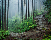 landscape of Kumano Kodo Iseji Route