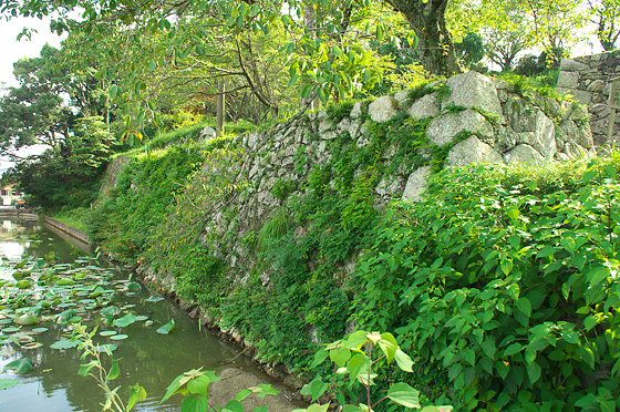 2．街道を結ぶ宿場町 ～田丸～