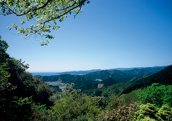 5．紀州への玄関口 ～ツヅラト峠・荷坂峠～