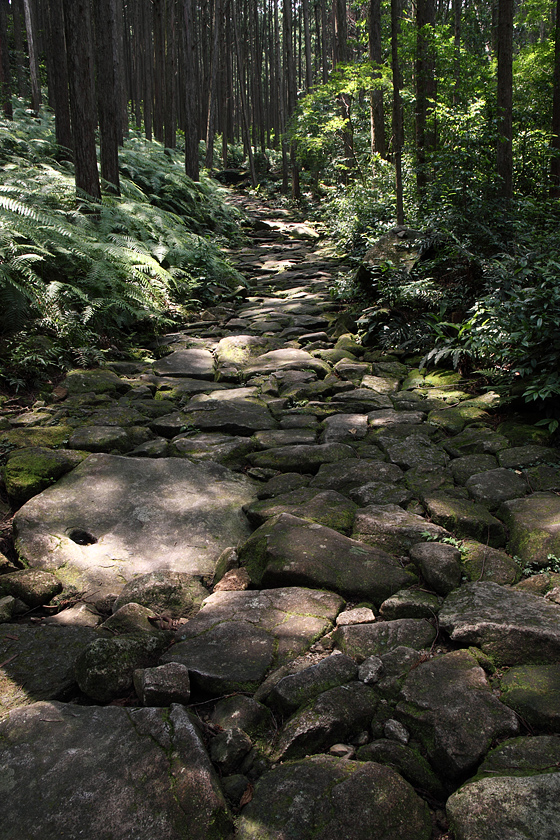 6．旅人を守る美しい石畳 ～馬越峠～