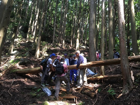 二木島峠・逢神坂2